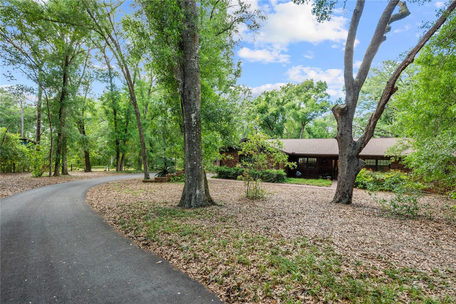 35935 LANA DR, DADE CITY, FL, 33523