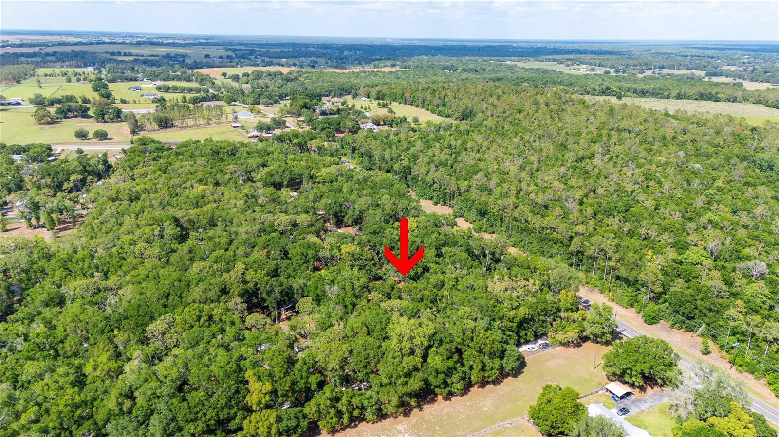 35935 LANA DR, DADE CITY, FL, 33523