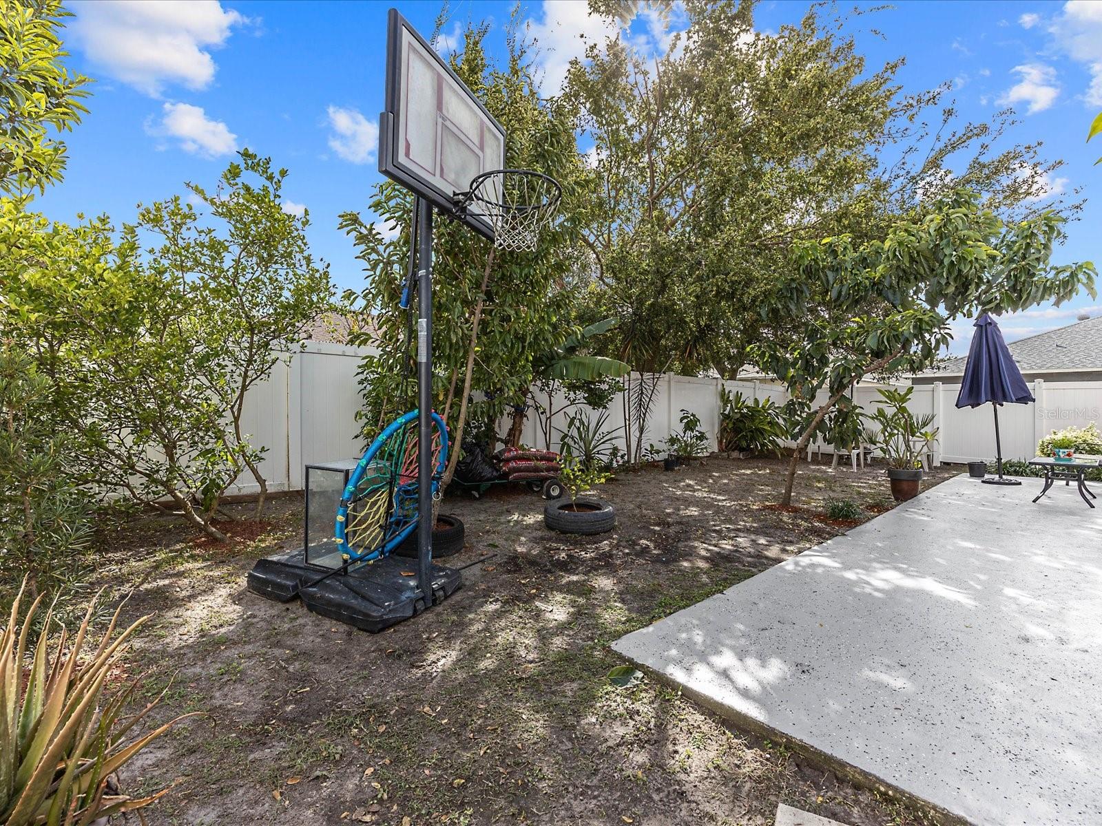 837 GRANDE REGAL PT, WINTER GARDEN, FL, 34787