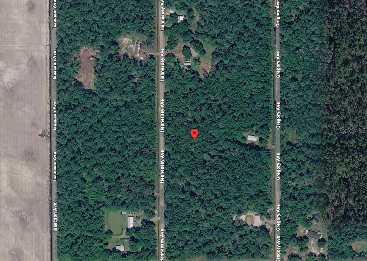 10690 HENNESSEY AVE, HASTINGS, FL, 32145