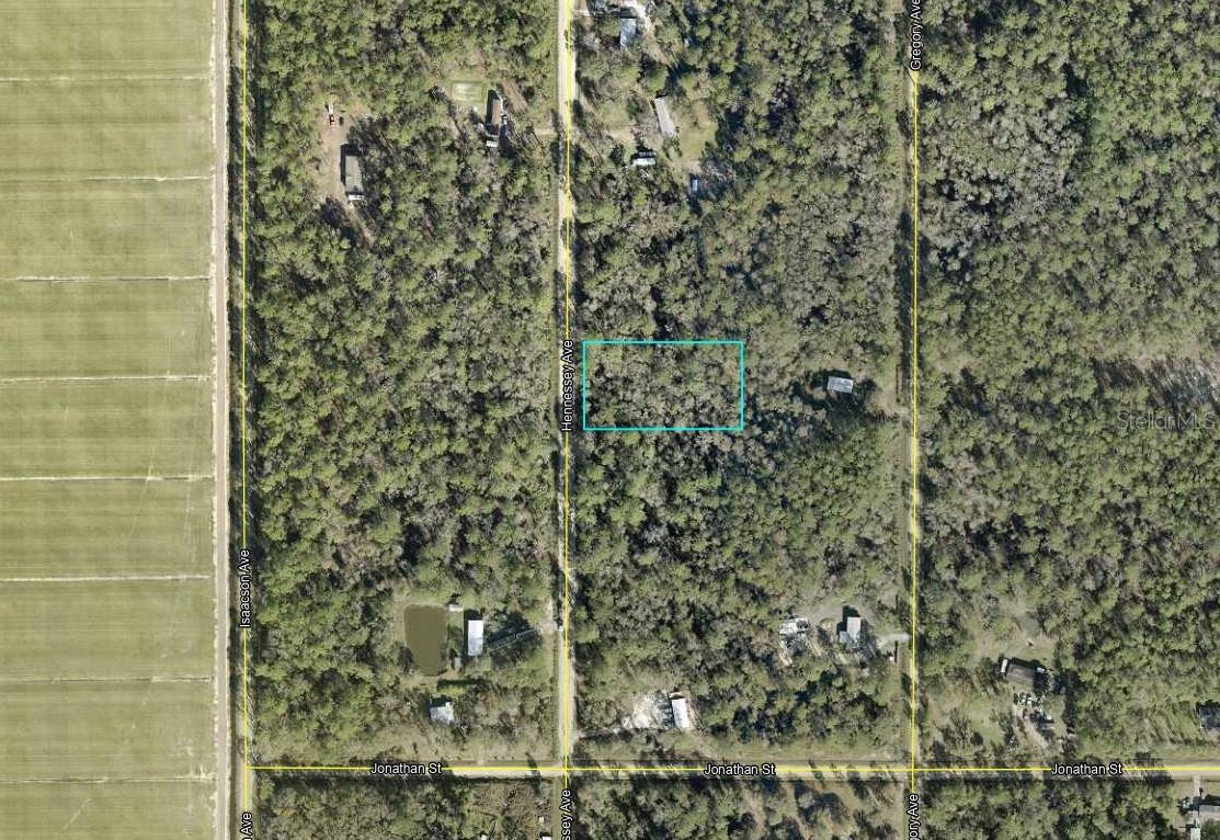 10690 HENNESSEY AVE, HASTINGS, FL, 32145