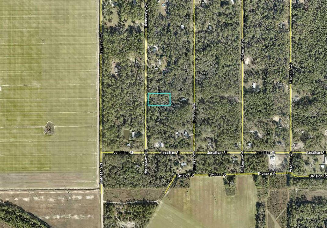 10690 HENNESSEY AVE, HASTINGS, FL, 32145
