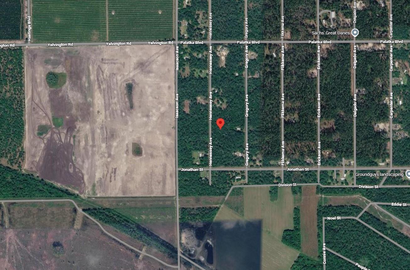 10690 HENNESSEY AVE, HASTINGS, FL, 32145