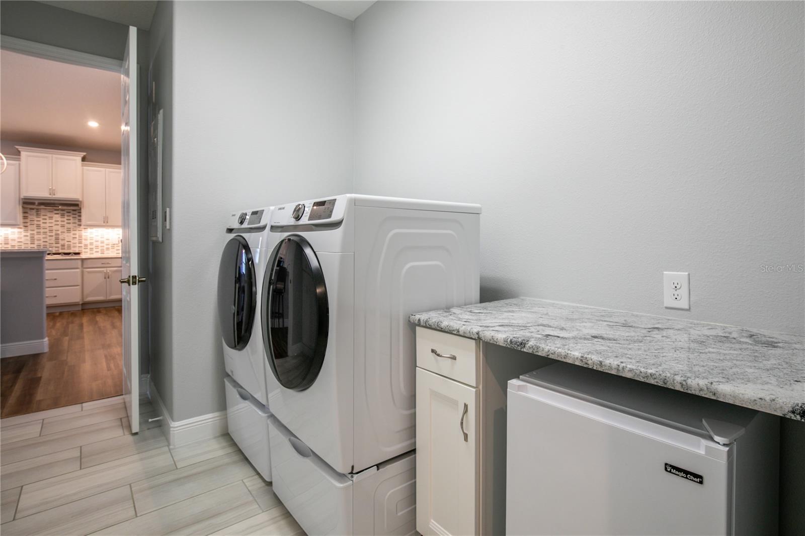 8492 HARTFORD WAY, MOUNT DORA, FL, 32757