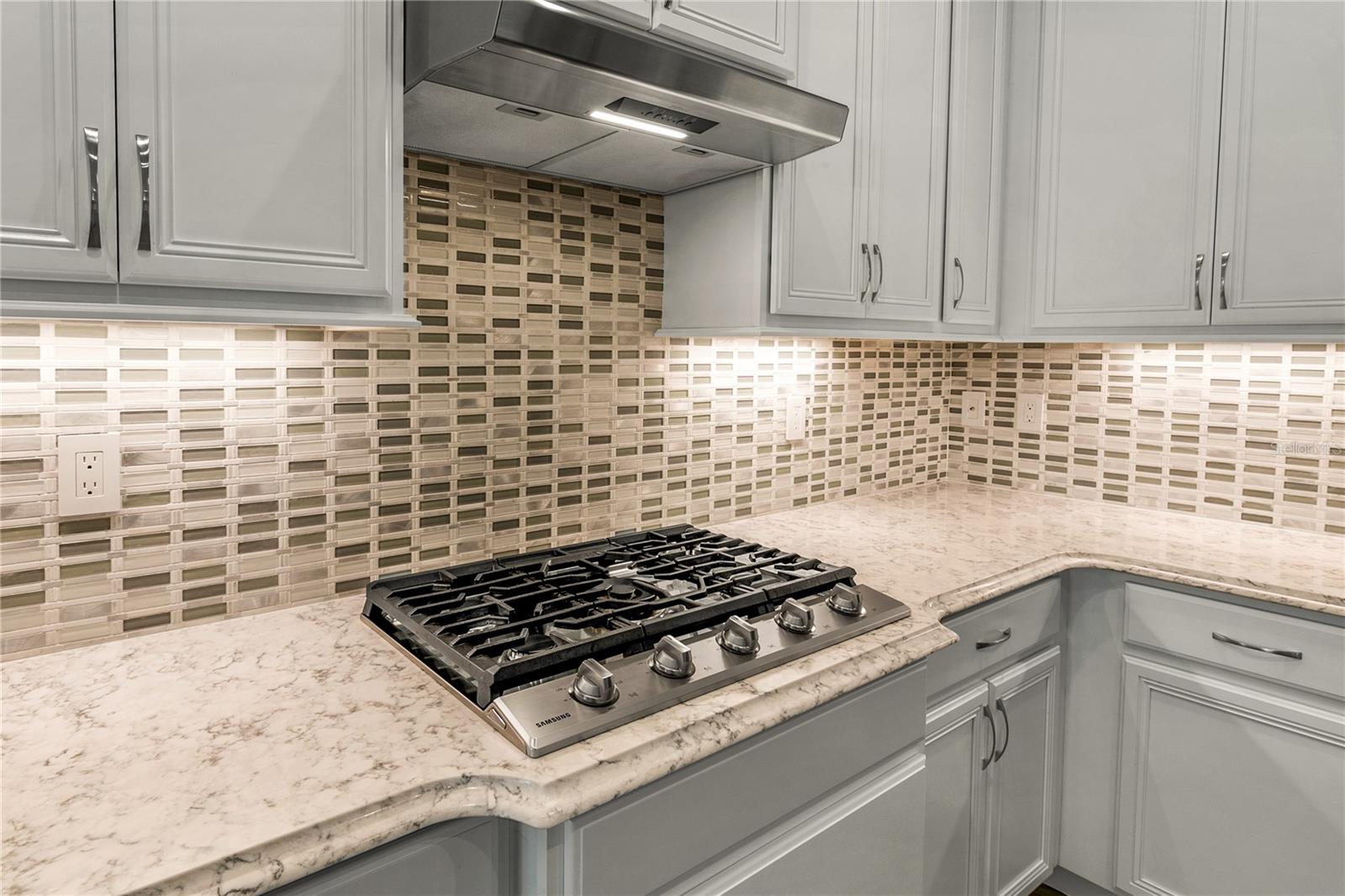 8492 HARTFORD WAY, MOUNT DORA, FL, 32757