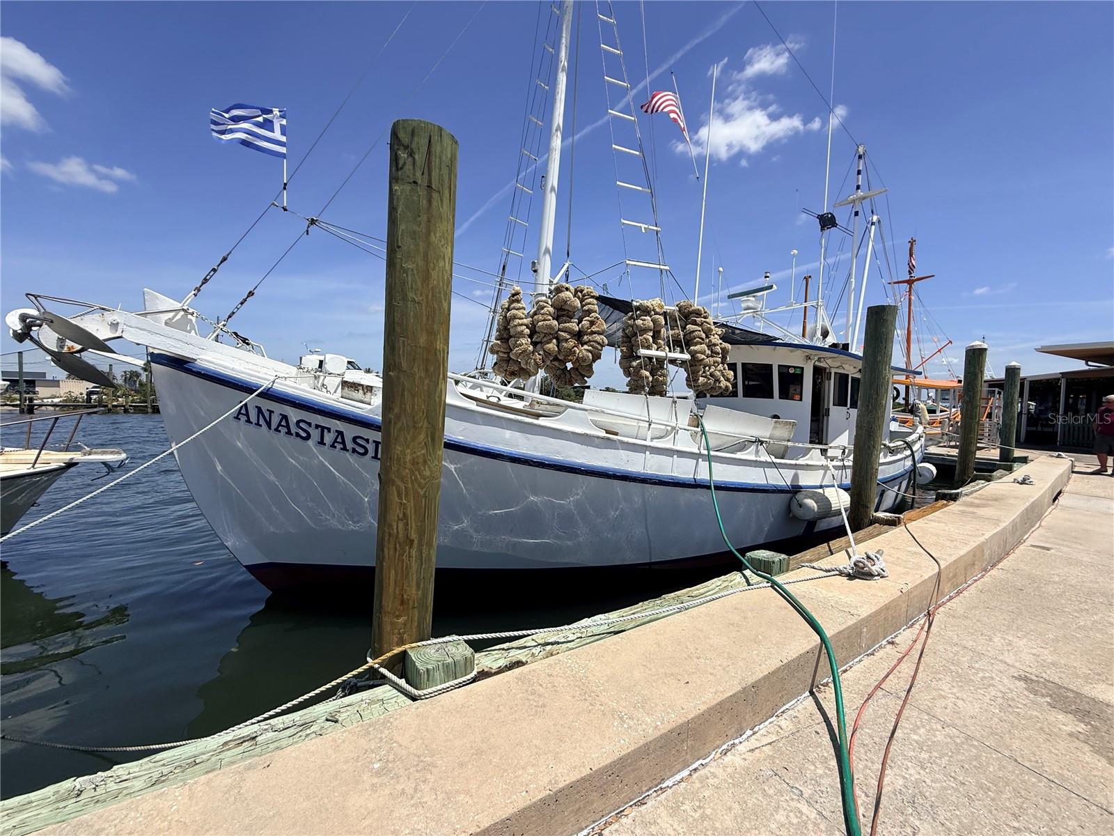 3350 LAURELWOOD CT, TARPON SPRINGS, FL, 34688