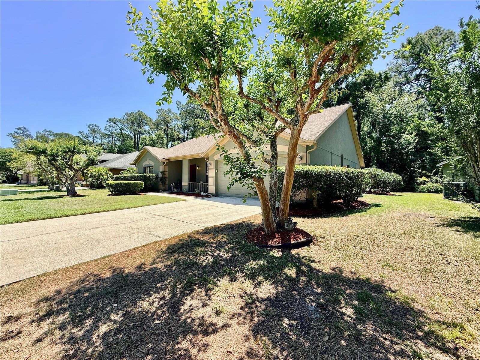 3350 LAURELWOOD CT, TARPON SPRINGS, FL, 34688