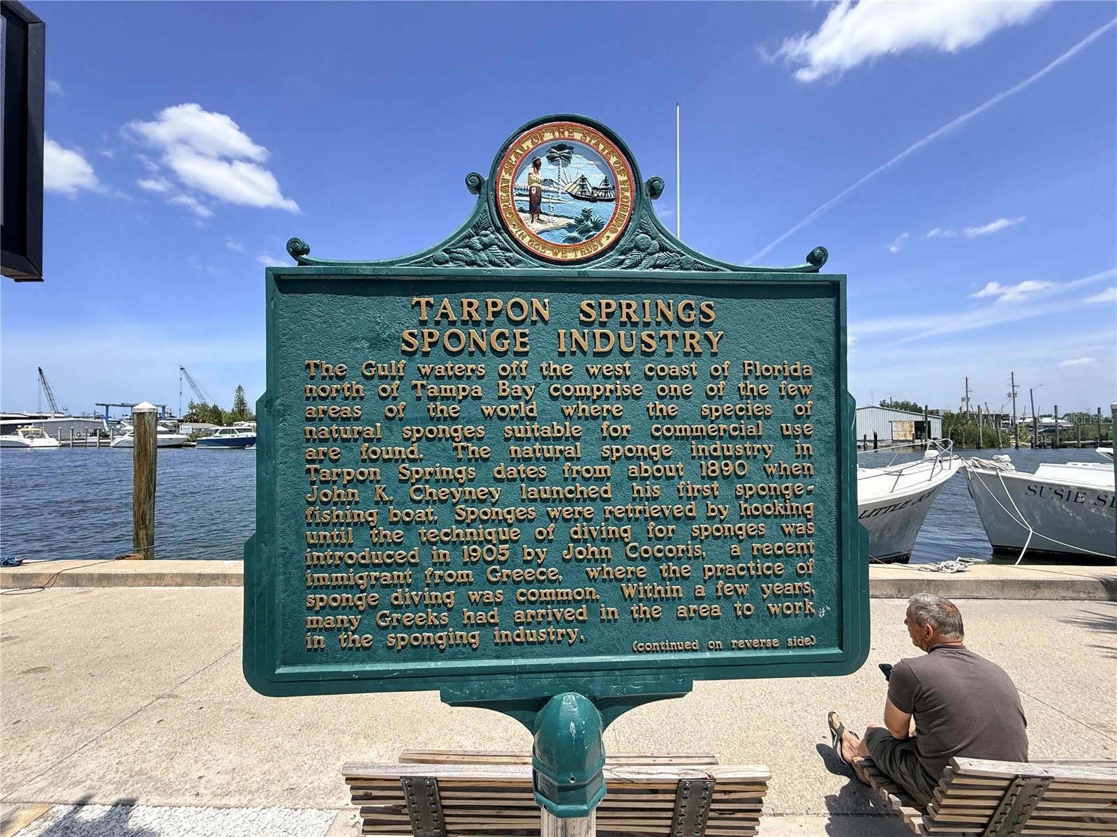 3350 LAURELWOOD CT, TARPON SPRINGS, FL, 34688