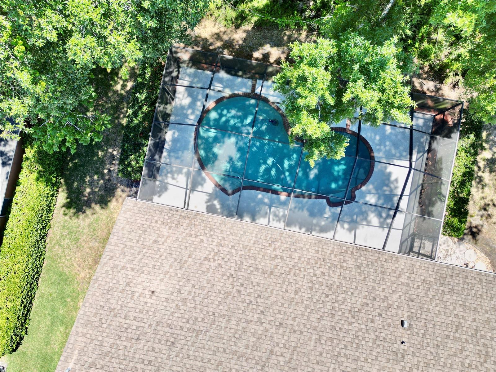 3350 LAURELWOOD CT, TARPON SPRINGS, FL, 34688