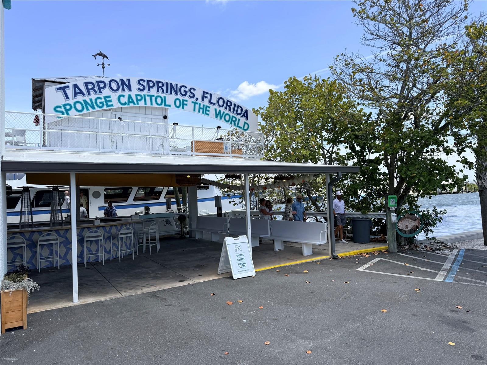 3350 LAURELWOOD CT, TARPON SPRINGS, FL, 34688