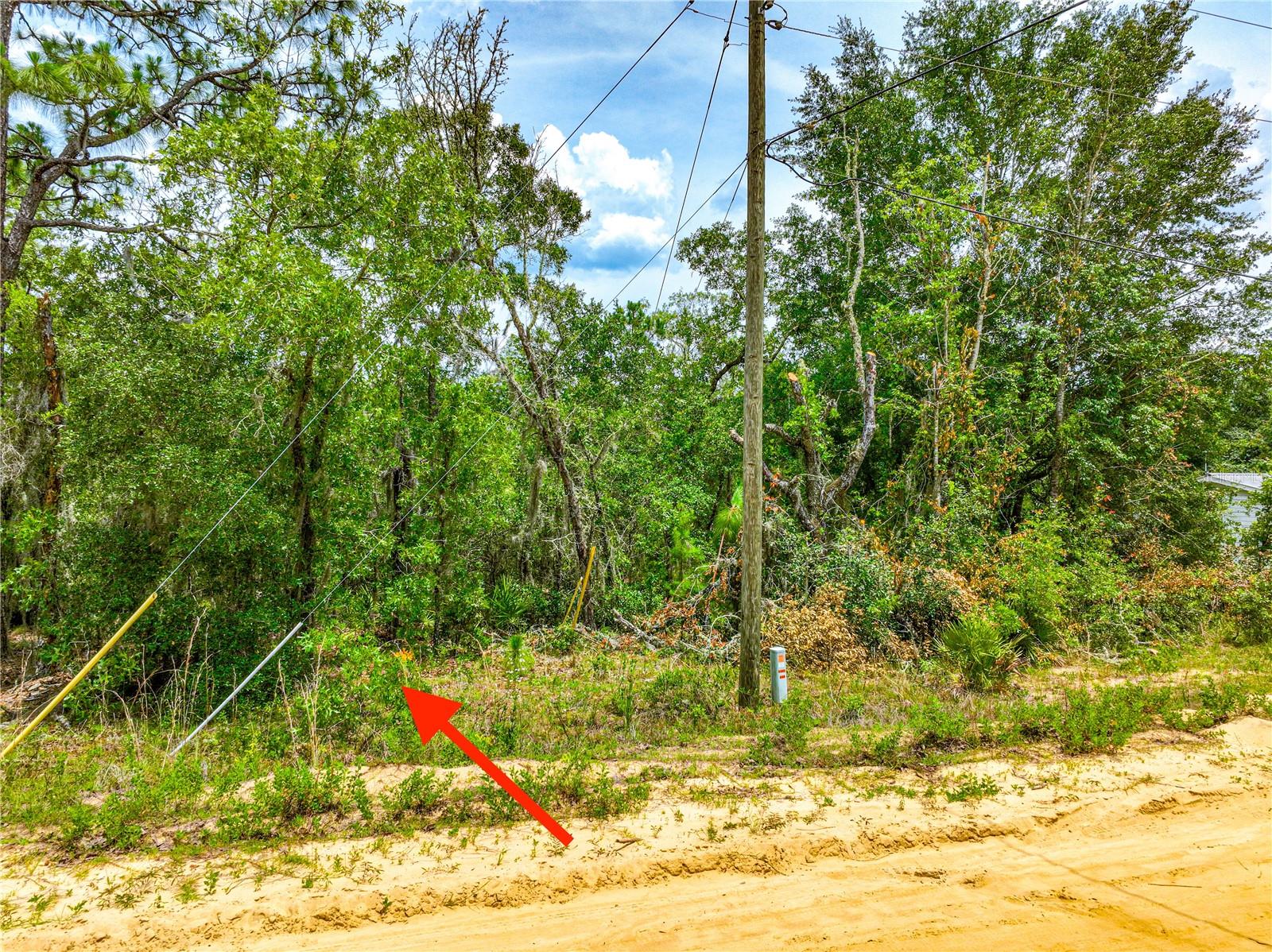 128 CARMICHAEL RD, INTERLACHEN, FL, 32148