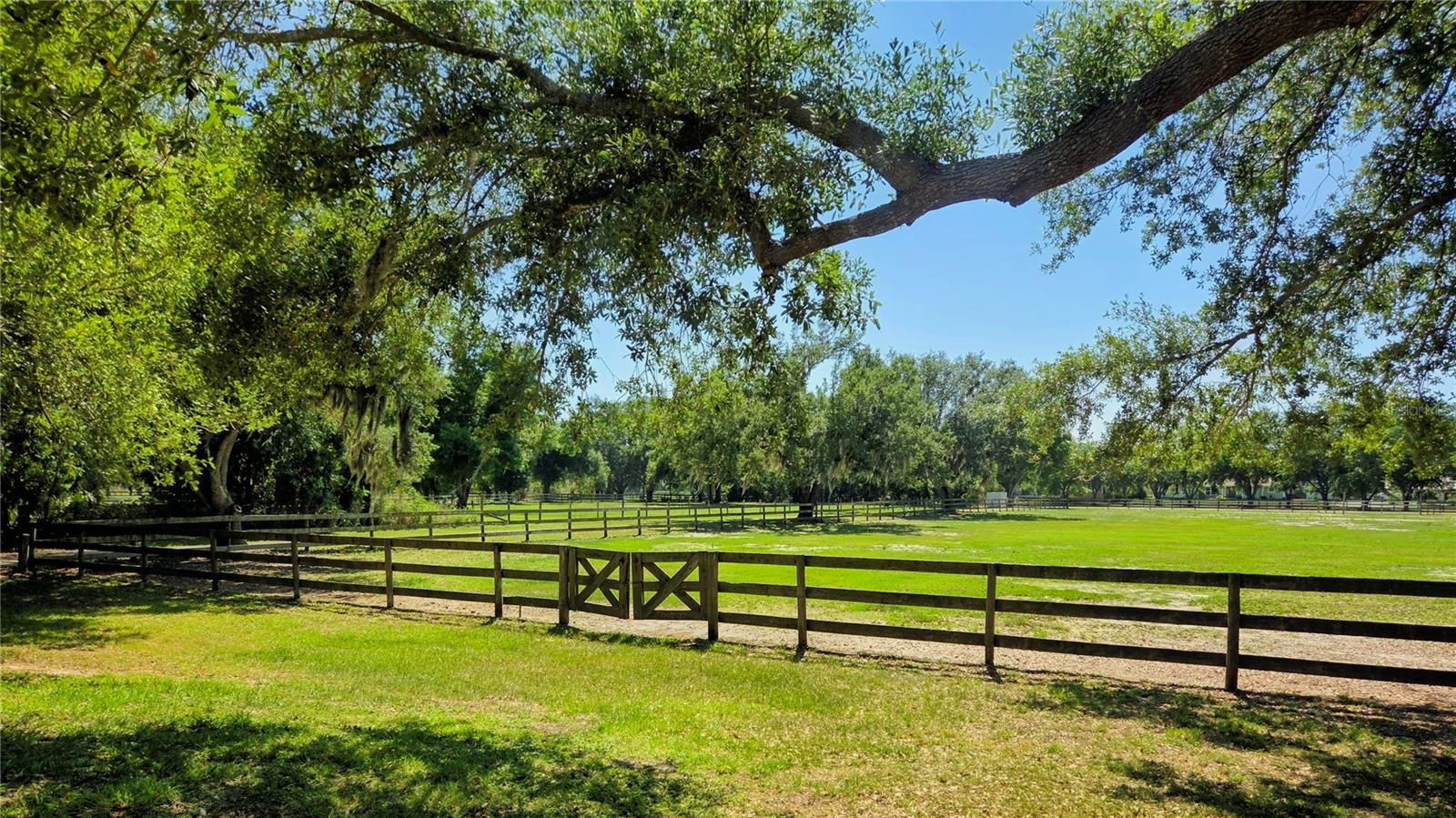 7783 SADDLE CREEK TRL, SARASOTA, FL, 34241