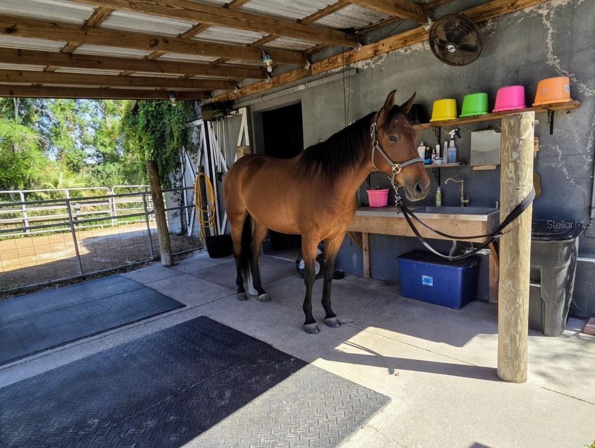 7783 SADDLE CREEK TRL, SARASOTA, FL, 34241