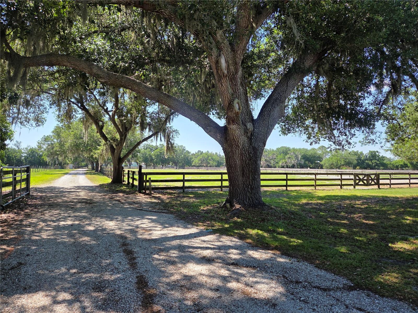 7783 SADDLE CREEK TRL, SARASOTA, FL, 34241