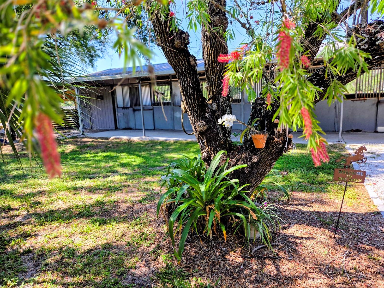 7783 SADDLE CREEK TRL, SARASOTA, FL, 34241