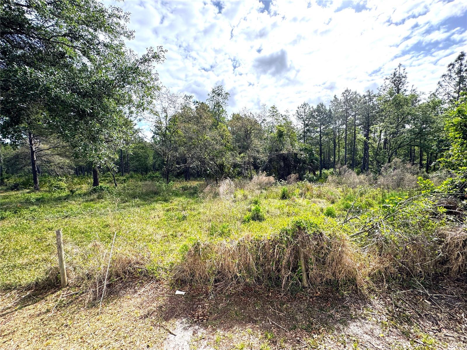 4339 NORTHERN DANCER WAY, ORLANDO, FL, 32826