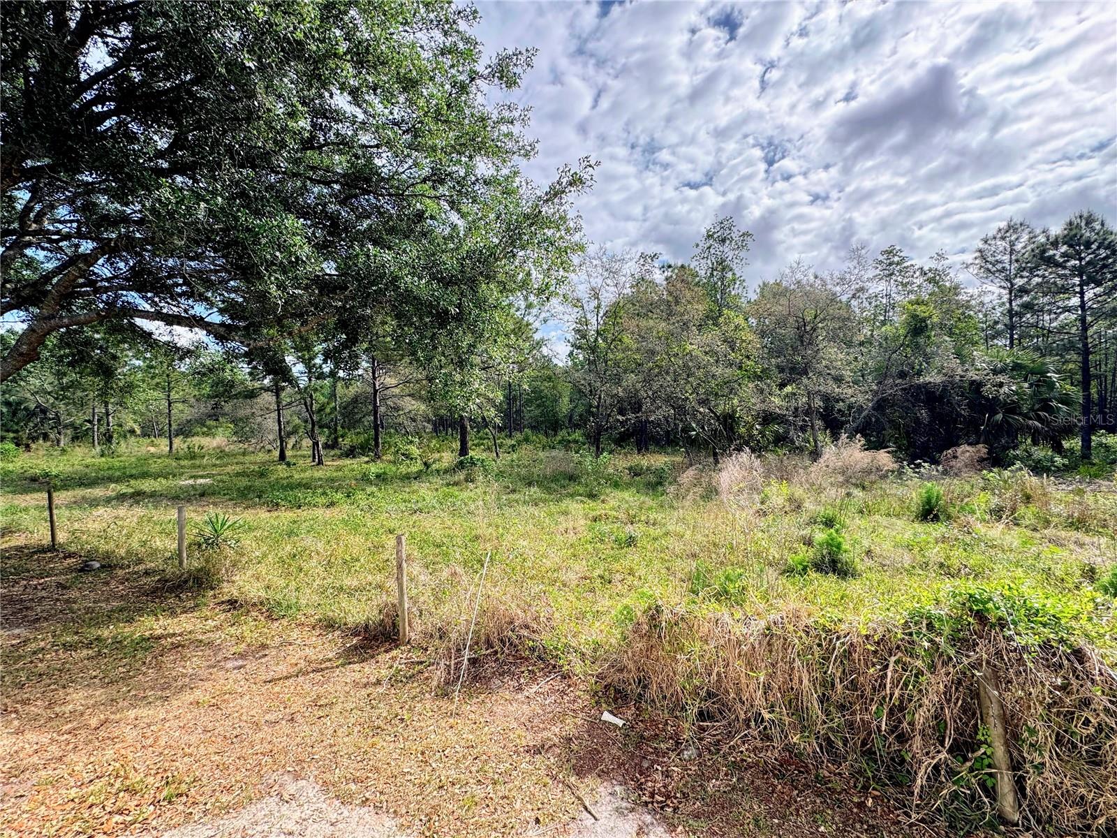 4339 NORTHERN DANCER WAY, ORLANDO, FL, 32826