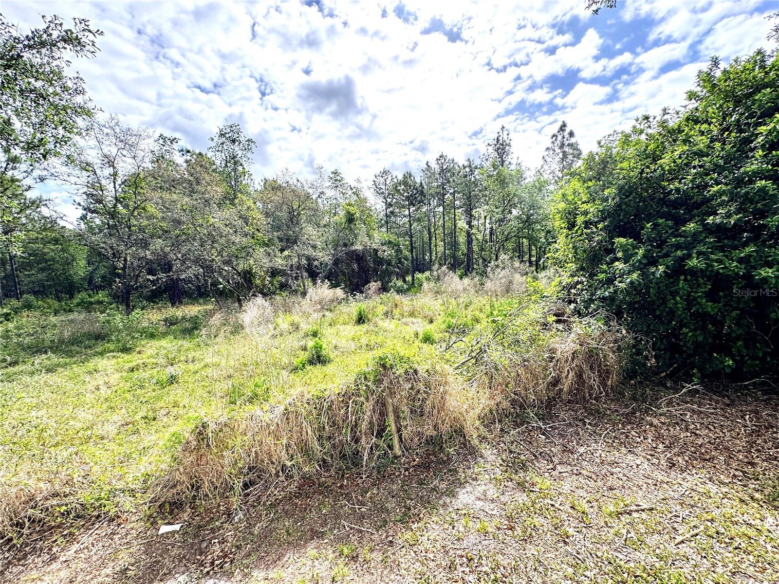 4339 NORTHERN DANCER WAY, ORLANDO, FL, 32826