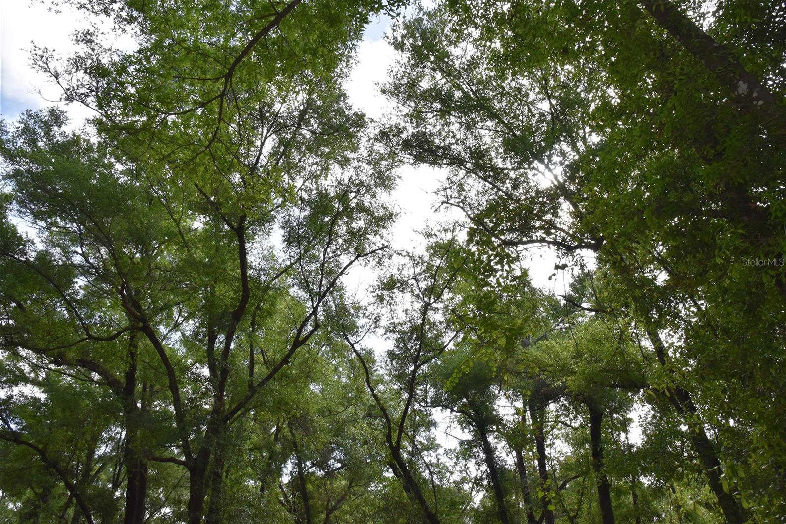 1859 NE 46TH CIR, HIGH SPRINGS, FL, 32643