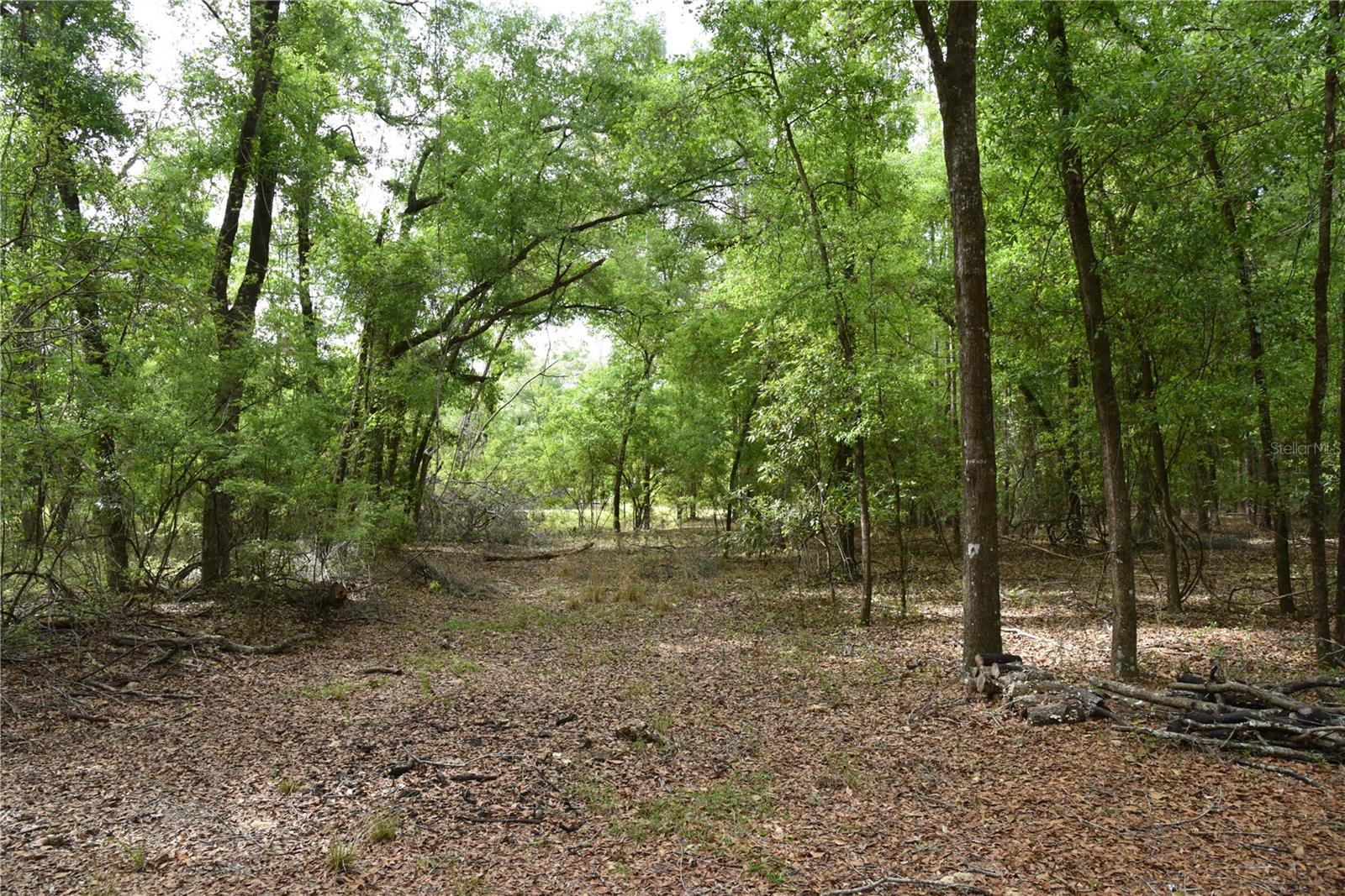 1859 NE 46TH CIR, HIGH SPRINGS, FL, 32643