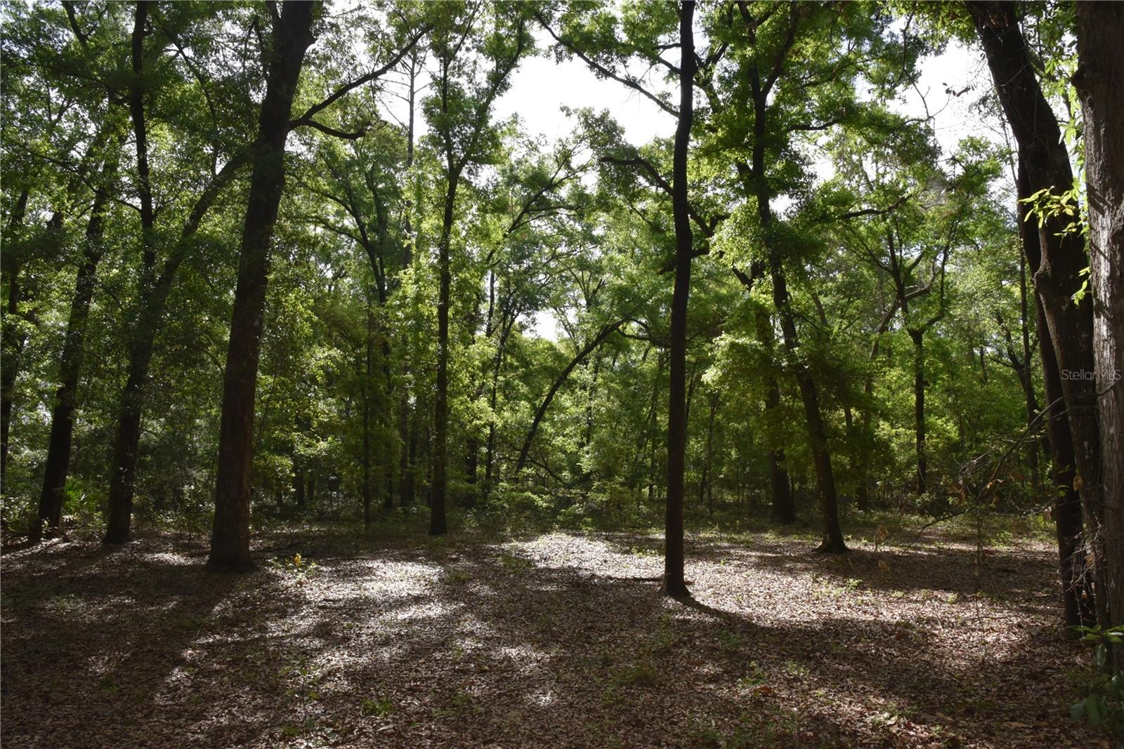 1859 NE 46TH CIR, HIGH SPRINGS, FL, 32643