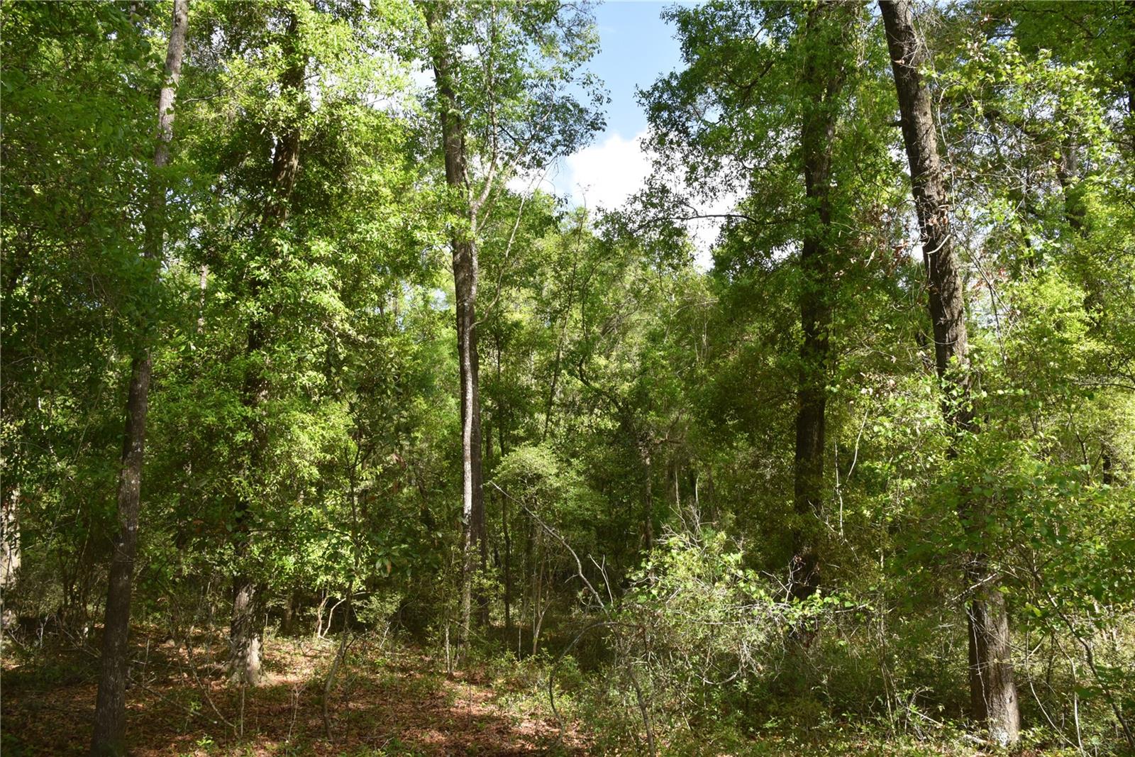 1859 NE 46TH CIR, HIGH SPRINGS, FL, 32643