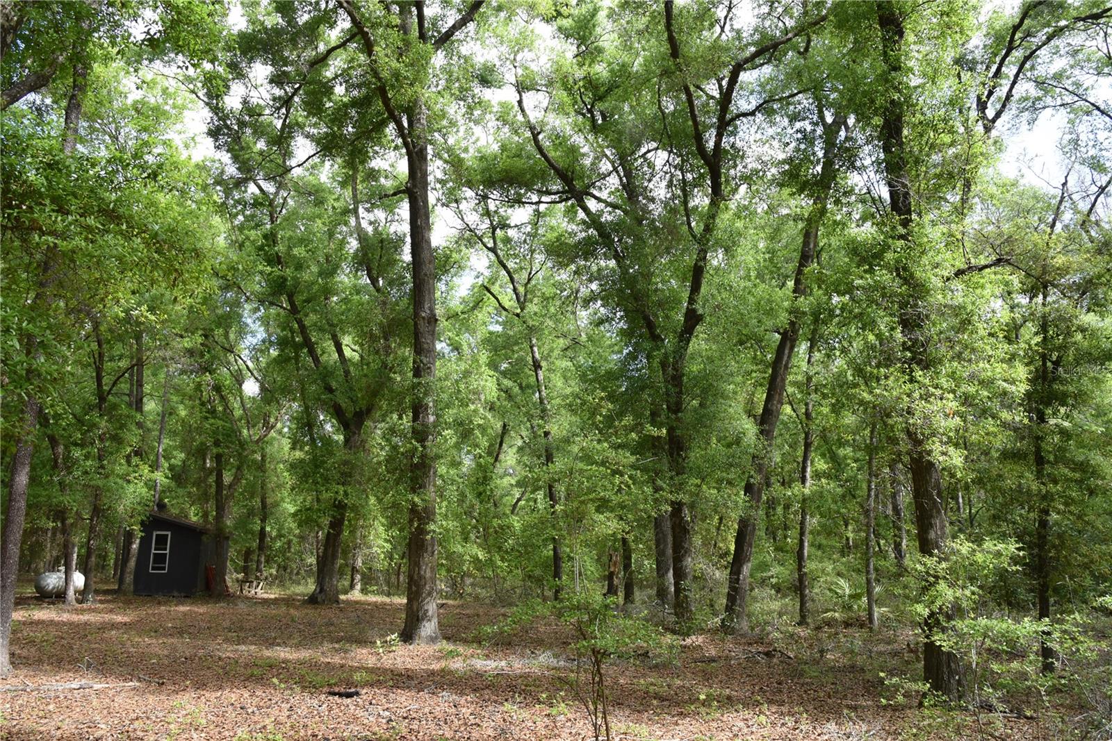 1859 NE 46TH CIR, HIGH SPRINGS, FL, 32643