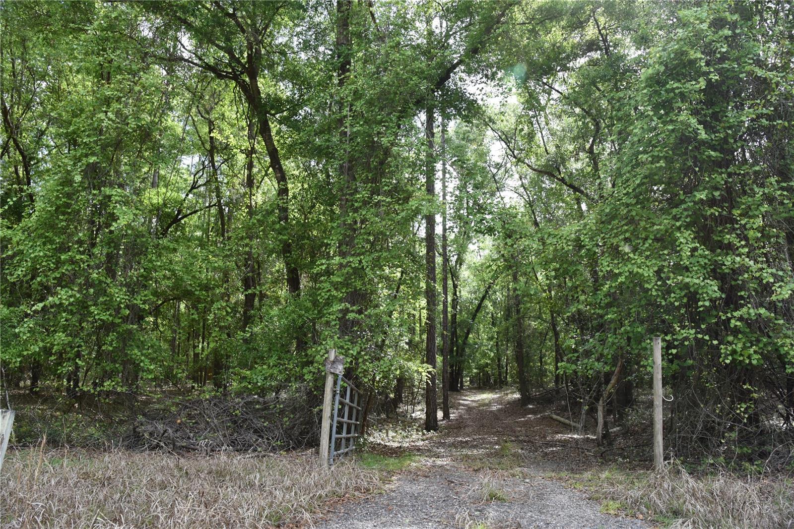 1859 NE 46TH CIR, HIGH SPRINGS, FL, 32643