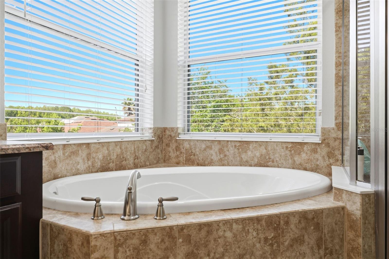 8005 CYPRESS CROSSING CT, TAMPA, FL, 33647