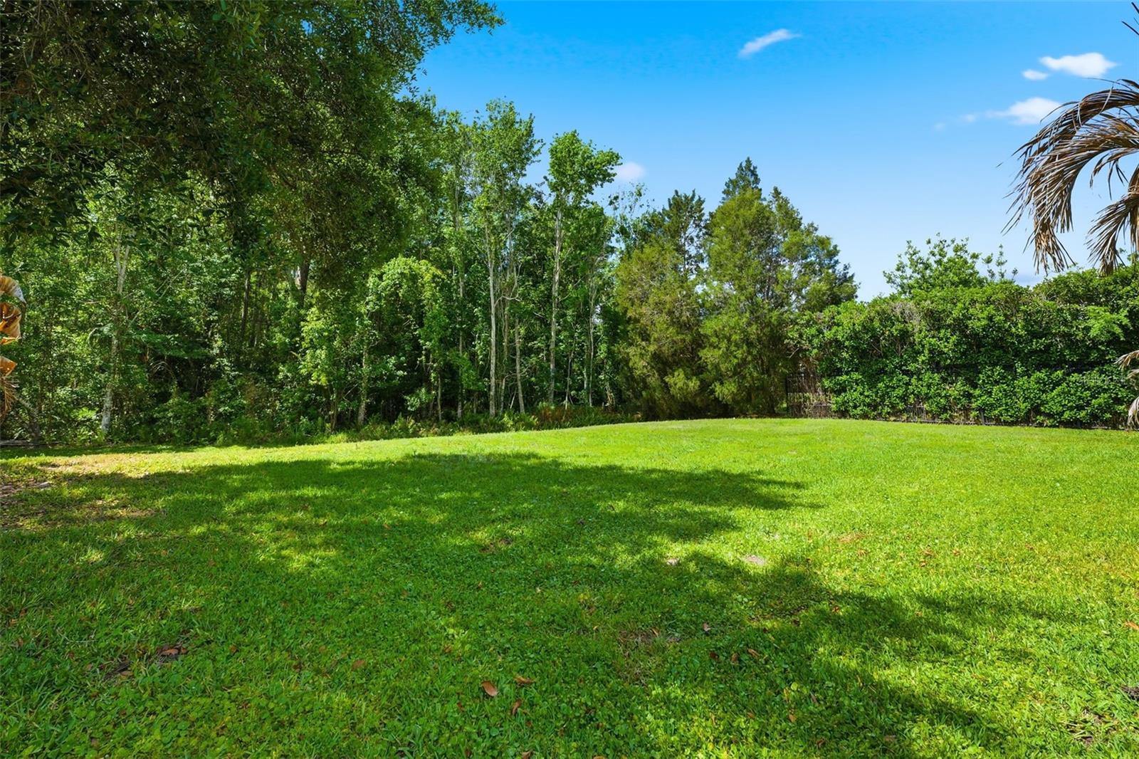 8005 CYPRESS CROSSING CT, TAMPA, FL, 33647