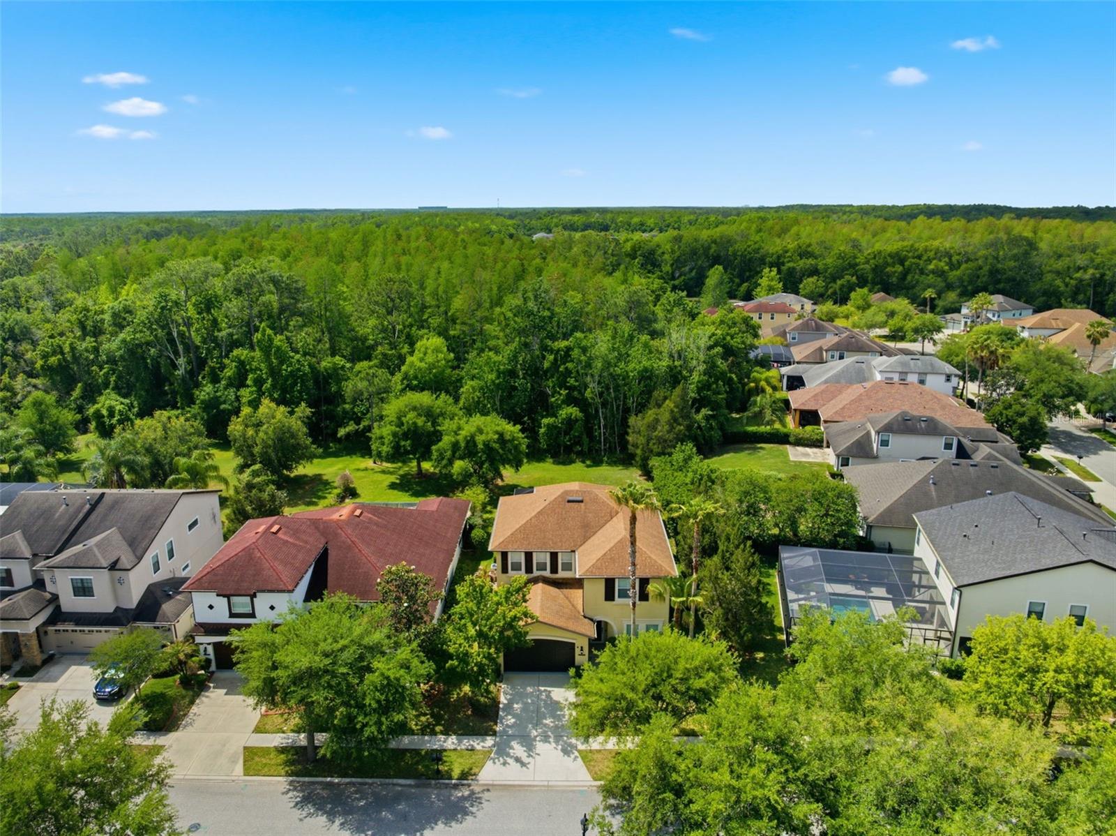 8005 CYPRESS CROSSING CT, TAMPA, FL, 33647