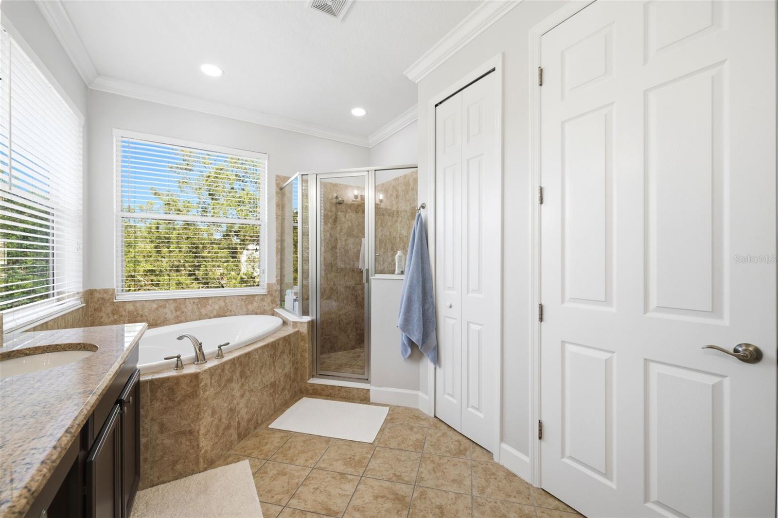 8005 CYPRESS CROSSING CT, TAMPA, FL, 33647