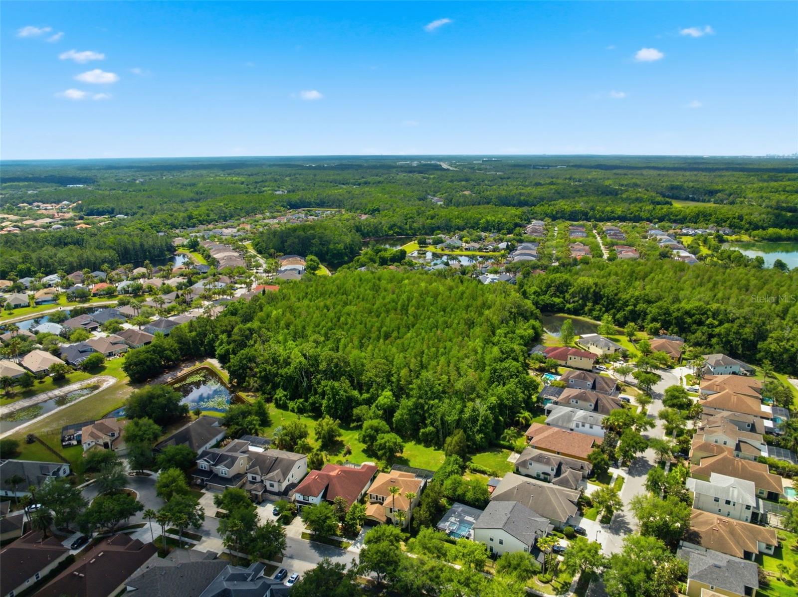 8005 CYPRESS CROSSING CT, TAMPA, FL, 33647