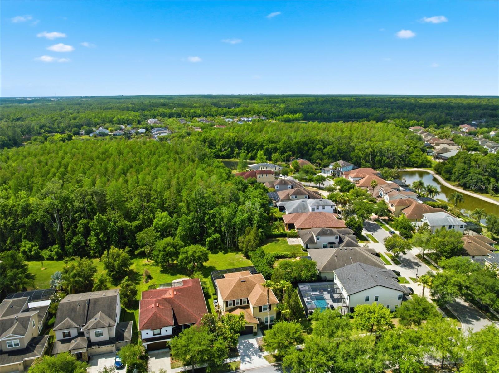 8005 CYPRESS CROSSING CT, TAMPA, FL, 33647