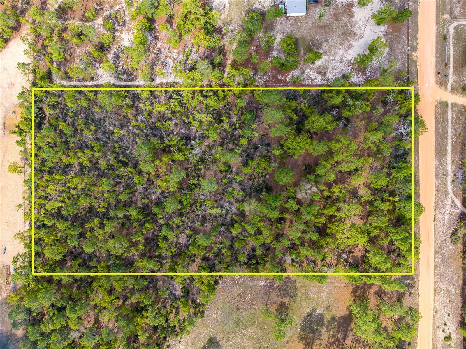 230 MELROSE LANDING DR, HAWTHORNE, FL, 32640