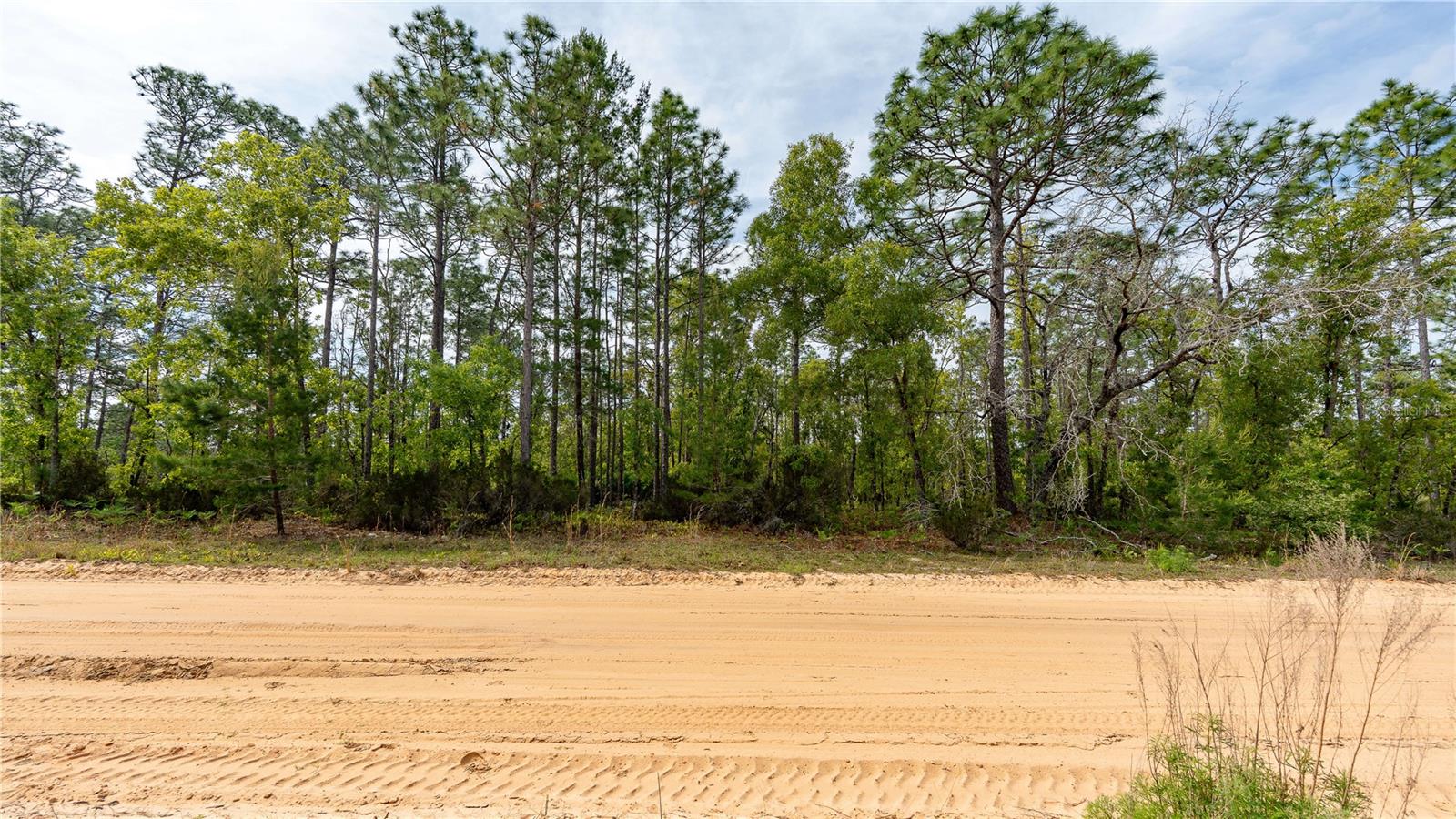 230 MELROSE LANDING DR, HAWTHORNE, FL, 32640