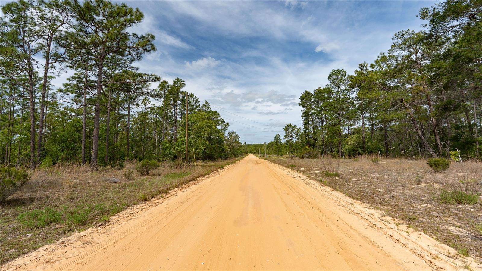 230 MELROSE LANDING DR, HAWTHORNE, FL, 32640