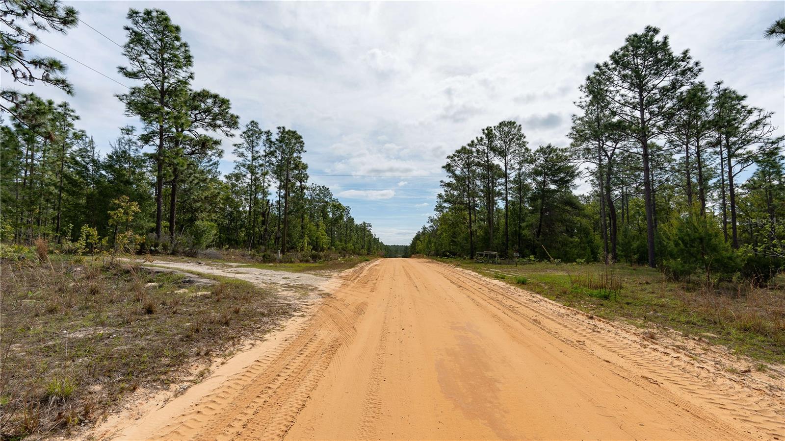 230 MELROSE LANDING DR, HAWTHORNE, FL, 32640