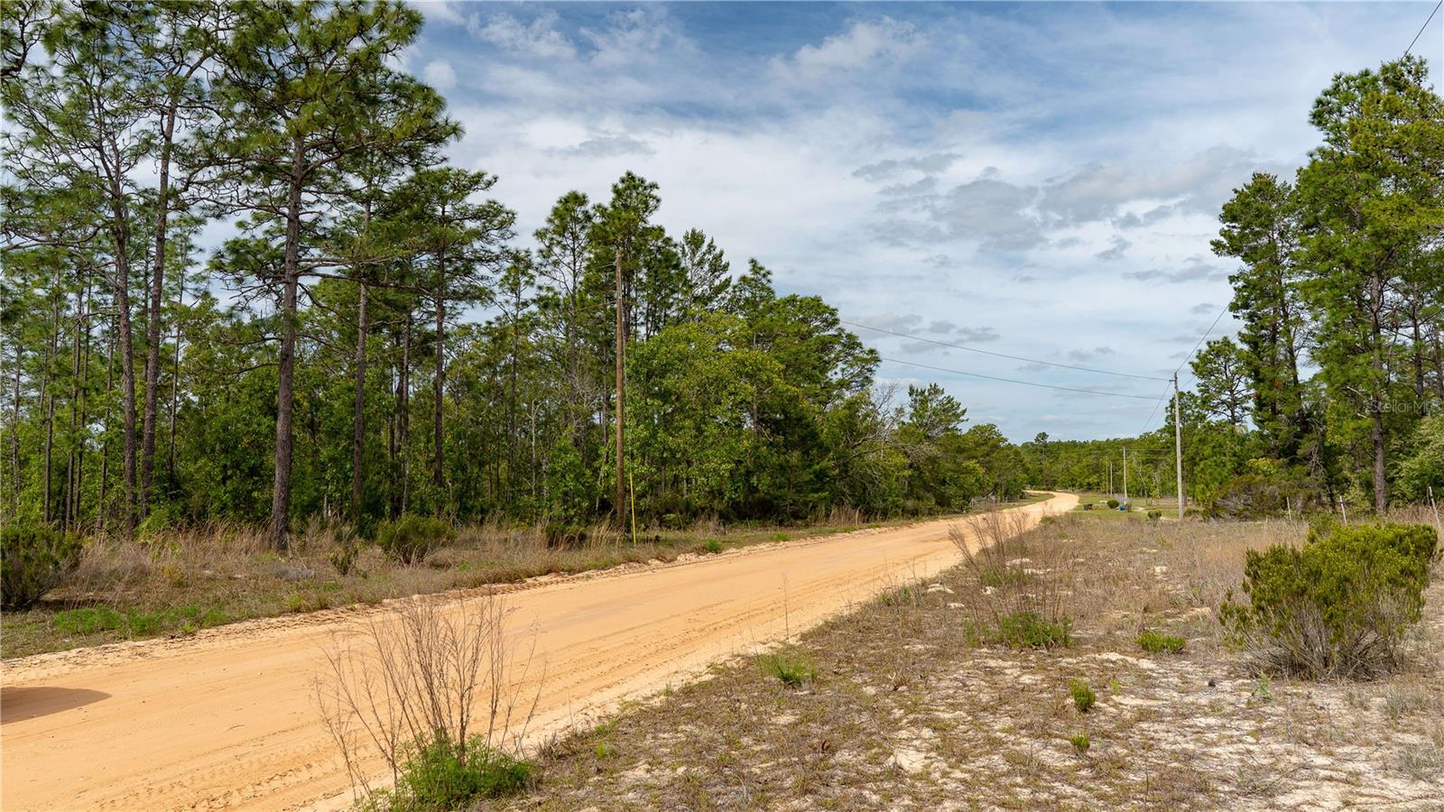 230 MELROSE LANDING DR, HAWTHORNE, FL, 32640