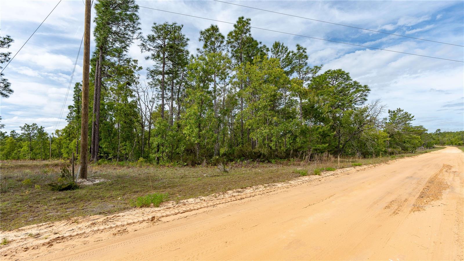 230 MELROSE LANDING DR, HAWTHORNE, FL, 32640