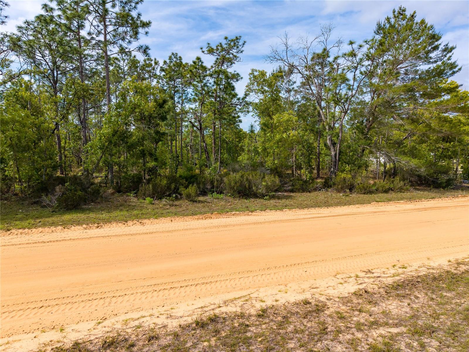 230 MELROSE LANDING DR, HAWTHORNE, FL, 32640