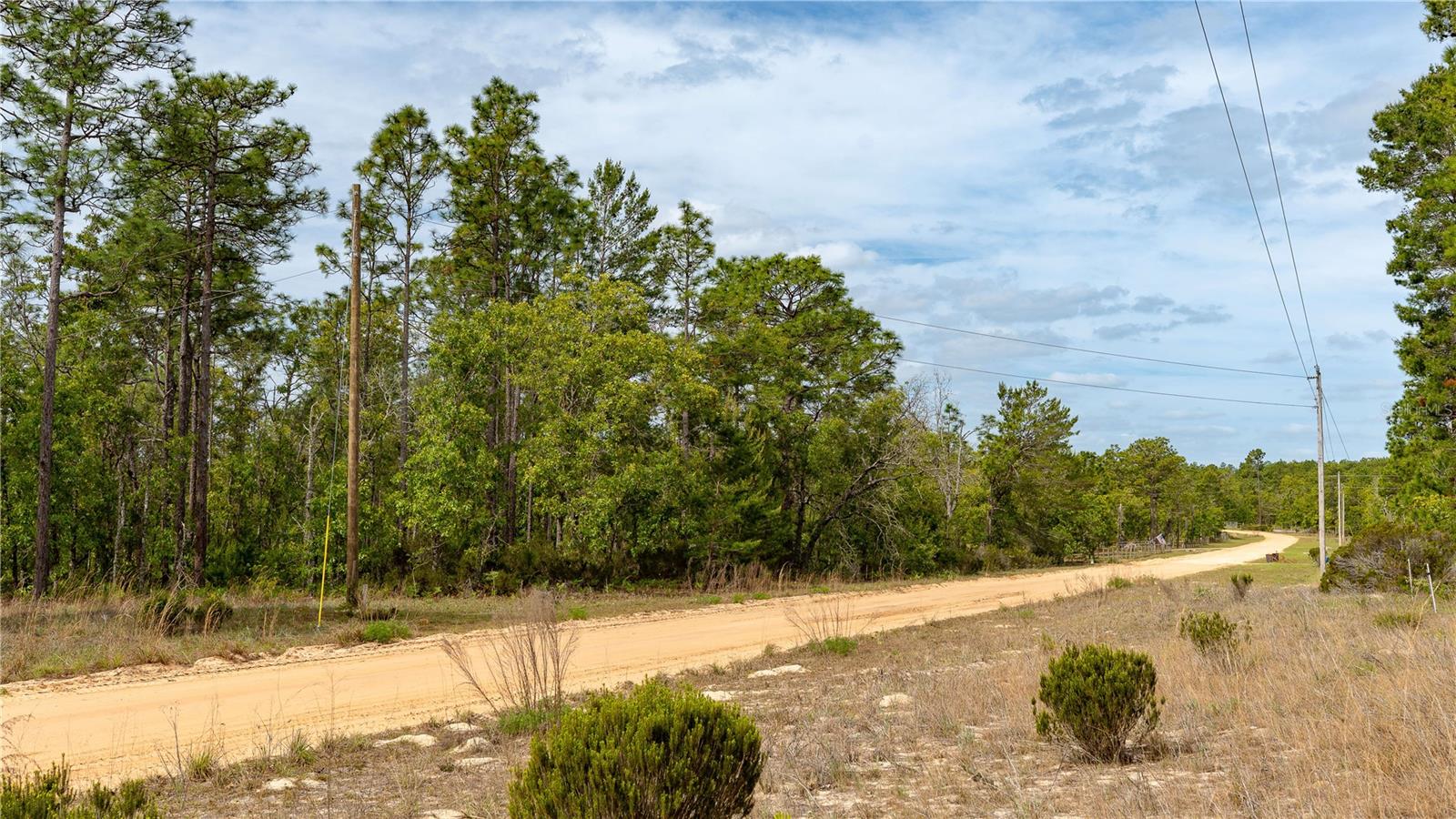 230 MELROSE LANDING DR, HAWTHORNE, FL, 32640