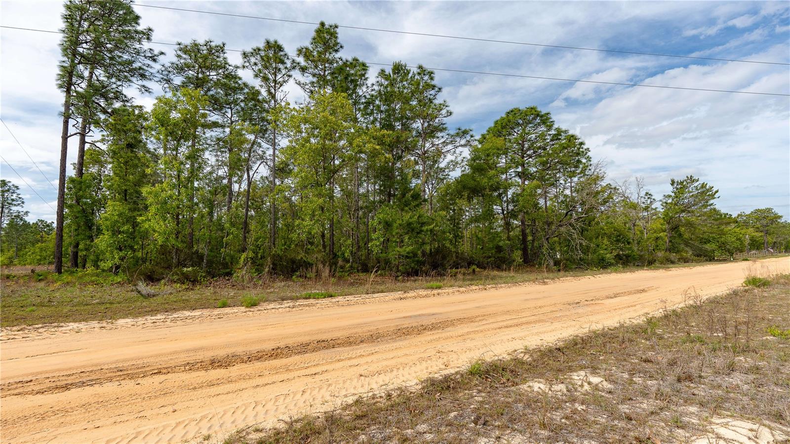 230 MELROSE LANDING DR, HAWTHORNE, FL, 32640