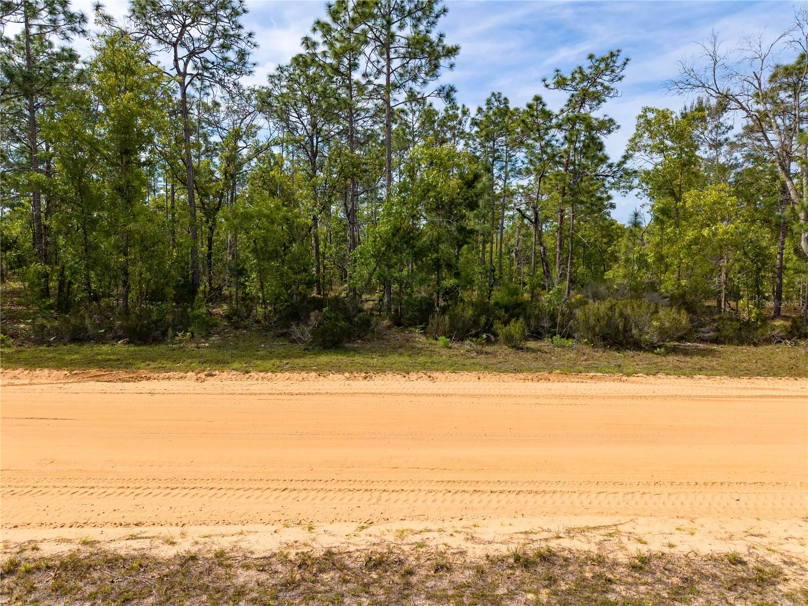 230 MELROSE LANDING DR, HAWTHORNE, FL, 32640