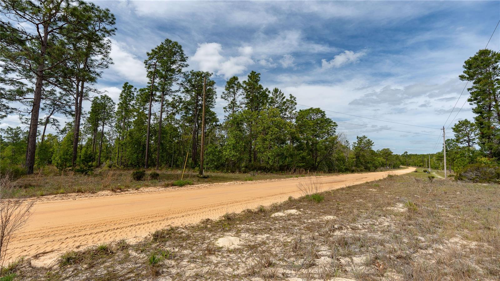 230 MELROSE LANDING DR, HAWTHORNE, FL, 32640