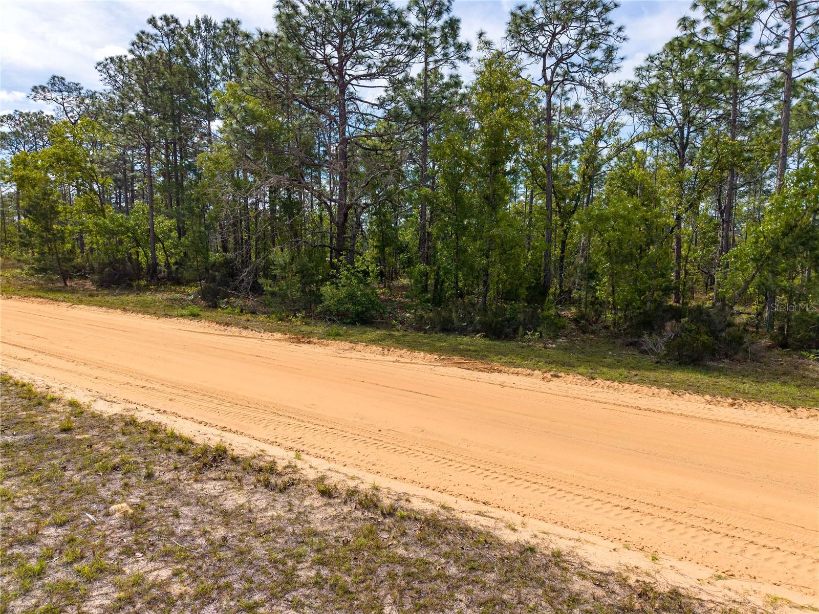 230 MELROSE LANDING DR, HAWTHORNE, FL, 32640