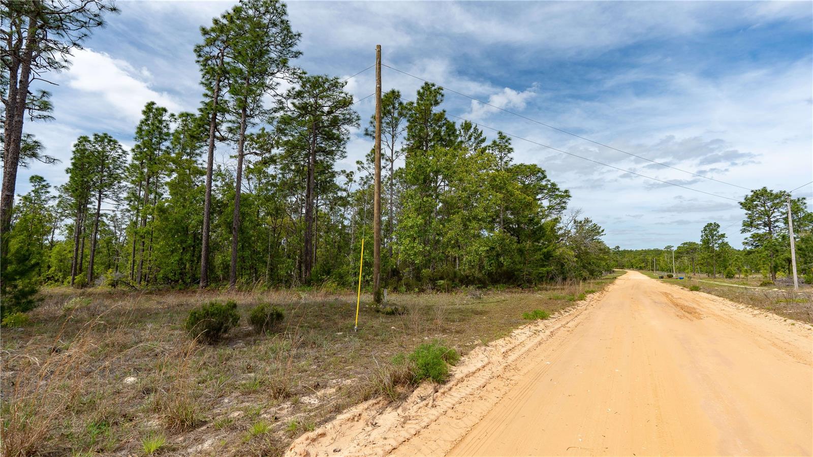 230 MELROSE LANDING DR, HAWTHORNE, FL, 32640