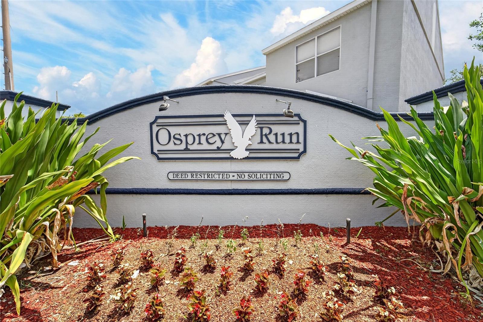 6557 OSPREY LAKE CIR #6557, RIVERVIEW, FL, 33578