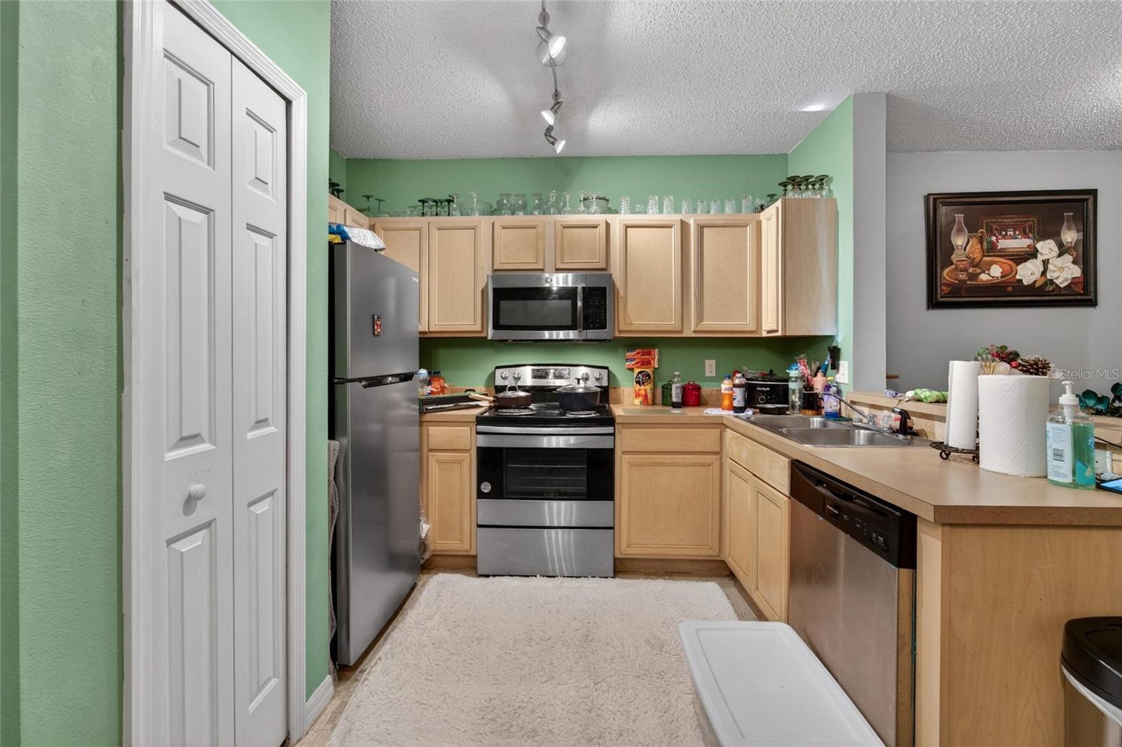 6557 OSPREY LAKE CIR #6557, RIVERVIEW, FL, 33578