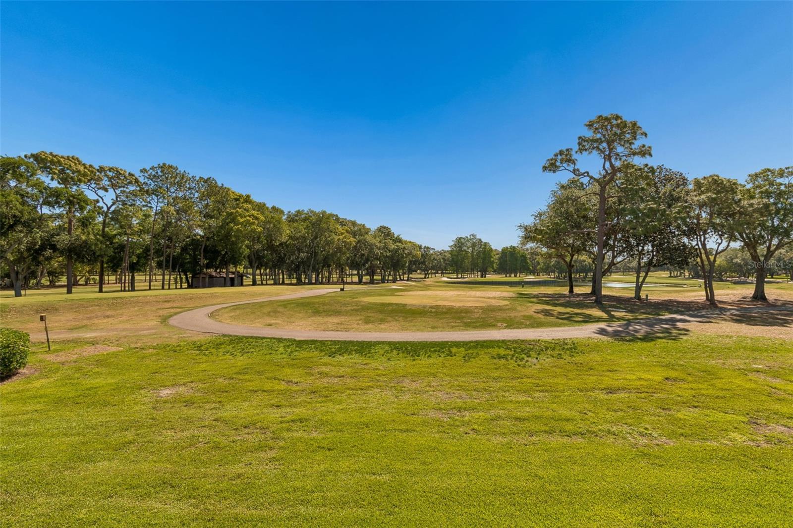 36750 US HIGHWAY 19 N #11205, PALM HARBOR, FL, 34684